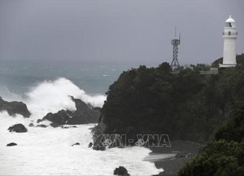 Vụ chìm tàu Panama trên vịnh Tokyo: Đã tìm thấy thi thể thủy thủ Nguyễn Văn Trì