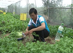 An Giang: Cùng sở thích chăn nuôi, trồng trọt cùng vào Hội quán