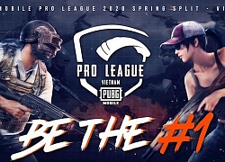 Giải đấu PUBG Mobile Pro League 2020 Spring Split VN đã được tạm dừng