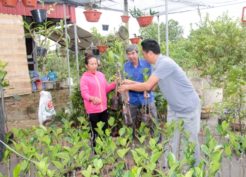 Là nông dân vất vả, 5 lần 7 lượt thất bại sao anh này vẫn đam mê?