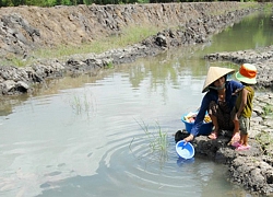 Mặn xâm nhập ở ĐBSCL có xu thế giảm dần