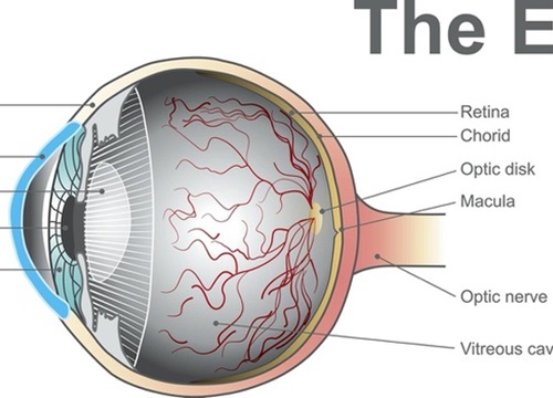 Thiết bị đặc biệt mới giúp phát hiện sớm các vấn đề về thị lực