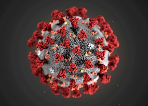 Virus Corona chủng mới có thể âm thầm lây nhiễm suốt nhiều năm qua