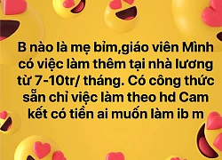 Cẩn trọng với quảng cáo việc 'lương cao' mời chào giáo viên trong thời gian nghỉ dạy