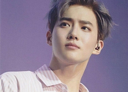 Dàn 'gà cưng' SM Entertainment phản ứng thế nào trước màn debut solo của Suho (EXO)?