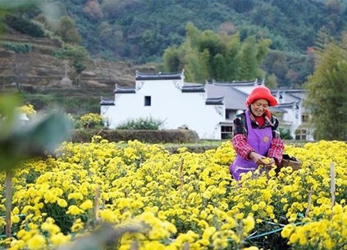 Ngành du lịch Trung Quốc nỗ lực khôi phục hoạt động