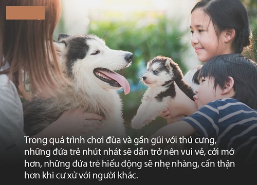 Thấy bé trai bị mẹ đưa tay ra đánh, chú chó cưng đã làm 1 việc khiến ai thấy cũng ấm lòng