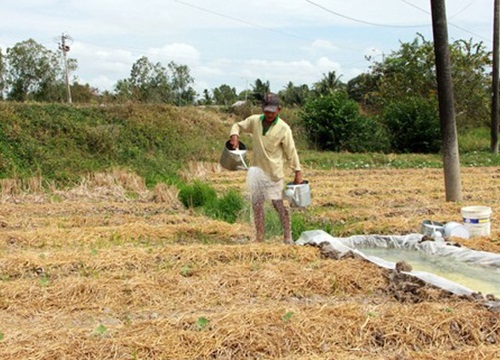 ĐBSCL sống chung với hạn mặn: Chuyển đổi để thích nghi