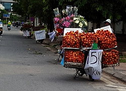 Du khách nước ngoài giúp người bán hàng rong nhặt hoa quả rơi