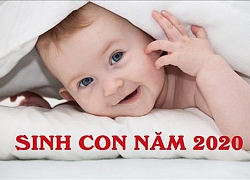 Đứa trẻ sinh năm Canh tý 2020 sở hữu tính cách thế nào, hậu vận ra sao?