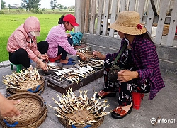 Huế: Học sinh TP ở nhà ôn bài, học sinh nông thôn bán ngô phụ cha mẹ mưu sinh