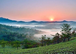 Ngắm Đà Lạt đẹp nao lòng trong buổi sớm bình minh