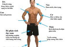 Tác hại của suy giảm hormone testosterone