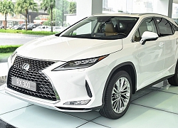 Vì sao RX là SUV bán chạy nhất của Lexus