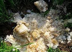 Cứ tưởng thiên thạch rơi xuống, ai ngờ sự thật phũ phàng