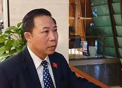 ĐBQH Lưu Bình Nhưỡng nói bài học vụ cô gái nhiễm Covid -19 ở Hà Nội