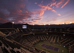Indian Wells bị hủy vì dịch Covid-19