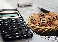 Intresco (ITC) chuẩn bị trả cổ tức bằng tiền và cổ phiếu tổng tỷ lệ 10%