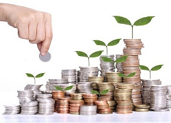 Lịch chốt quyền nhận cổ tức bằng tiền của 9 doanh nghiệp