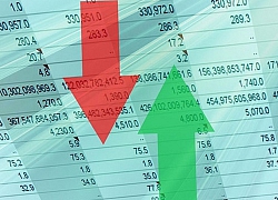 Lợi nhuận 2019 nhóm Công ty chứng khoán ngoại tăng trưởng 218% còn các "ông lớn" trong nước đồng loạt giảm
