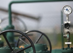 Nga không đồng ý cắt giảm sản lượng dầu cùng OPEC