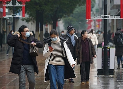 Người Việt ở châu Âu kể chuyện chống dịch COVID-19