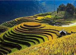 Phát triển du lịch cộng đồng ở Mù Cang Chải