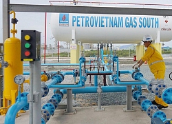 PV GAS South (PGS) mua lại công ty vốn trăm tỷ với giá chỉ 1.000 đồng, phủ quyết phương án PV GAS tăng sở hữu