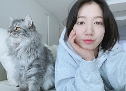 "Thần chú" làm đẹp của các mỹ nhân châu Á nổi tiếng: Kỳ diệu đến nỗi có thể nâng tầm nhan sắc của bạn từ da đến tóc