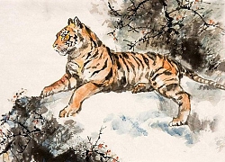 Tử vi thứ 3 ngày 10/3/2020 của 12 con giáp: Thân dễ hao tài tốn của, Hợi nên chú ý sức khỏe