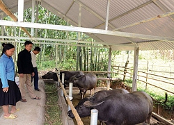 17 năm đồng hành cùng hộ nghèo hướng tới tương lai tươi sáng hơn