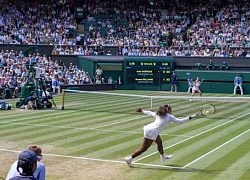 Dịch Covid-19 hoành hành châu Âu: Wimbledon & Roland Garros có bị hoãn?