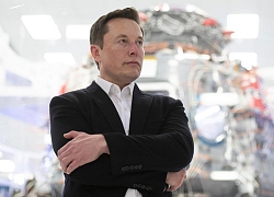 Elon Musk: "Học Đại học không phải bằng chứng của năng lực hơn người. Đại học cơ bản chỉ để cho vui, không phải để học"