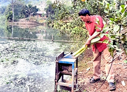 Không sợ ma,"Mai An Tiêm" vào chốn thâm sơn "tìm vàng"