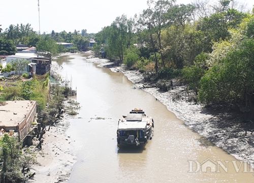 Nước mặn sắp đạt đỉnh, Cần Thơ khuyến cáo chỉ lấy nước ròng