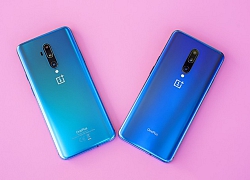 OnePlus 8 và OnePlus 8 Pro sẽ hỗ trợ 5G, giá cao hơn