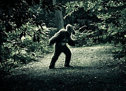 Chấn động: Quái vật Bigfoot là hậu duệ của người ngoài hành tinh?