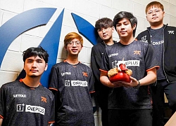 Đánh bại cả Evil Geniuses và OG Seed, Fnatic giành chức vô địch tại DOTA Summit 12