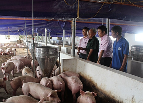 Hà Tĩnh: Học nghề bài bản, nông dân tự tin làm giàu