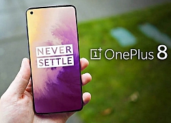 OnePlus 8 và OnePlus 8 Pro đạt chứng nhận TENAA, xác nhận hỗ trợ 5G