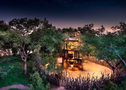 Tận hưởng giấc ngủ dưới bầu trời đầy sao tại những ngôi nhà kiểu treehouse độc nhất vô nhị