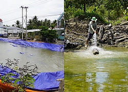 'Thủ phủ' sầu riêng sống nhờ ao nước 37 tỷ đồng