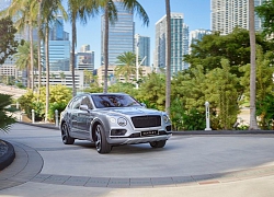 Bentley Mulsanne sẽ được thay thế bởi mẫu SUV hạng sang cỡ lớn