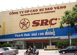 Cao su Sao Vàng đặt mục tiêu lợi nhuận năm 2020 giảm 59%