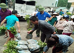 Chợ Đồn (Bắc Kạn): Hội Nông dân hoạt động tốt, nông dân được nhờ