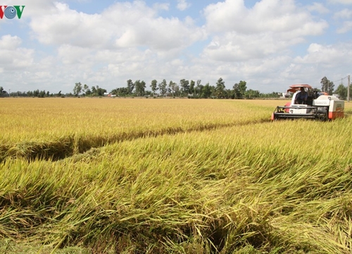 Cống Âu thuyền Ninh Quới-công trình ngăn mặn phát huy hiệu quả