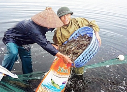 Doanh nghiệp thuỷ sản kiến nghị ngân hàng giảm lãi, giảm phí, nới lỏng điều kiện vay vốn