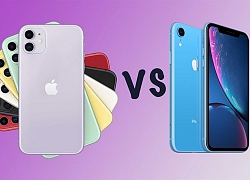 iPhone 11 và iPhone Xr đã giúp cho Apple &#8216;bay cao&#8217; tại thị trường Ấn Độ trong tháng 1, 2/2020