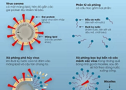 [Infographic] Lịch sử của xà phòng và cách chúng tiêu diệt virus corona