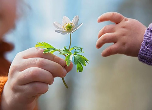 Luật nhân quả và bài học về đạo làm con